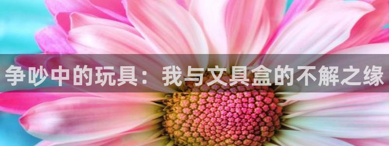 卧龙传统娱乐团购：争吵中的玩具：我与文具