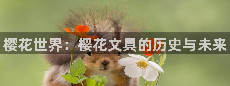 SKY娱乐卧龙主管60447：樱花世界：