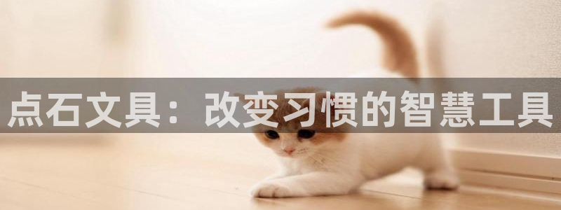 PT娱乐 扣卧龙60447：点石文具：改