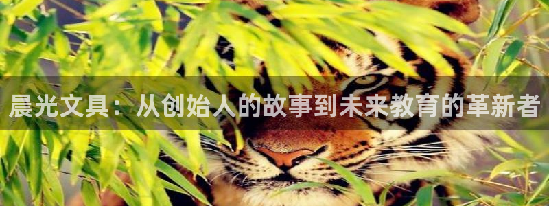 卧龙娱乐过山车：晨光文具：从创始人的故事