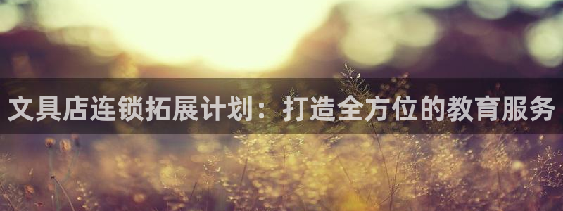 卧龙娱乐集团：文具店连锁拓展计划：打造全