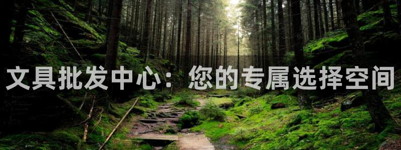 卧龙娱乐拆卡攻略：文具批发中心：您的专属