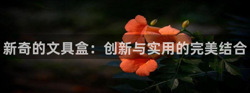 卧龙娱乐注册地址在哪里：新奇的文具盒：创