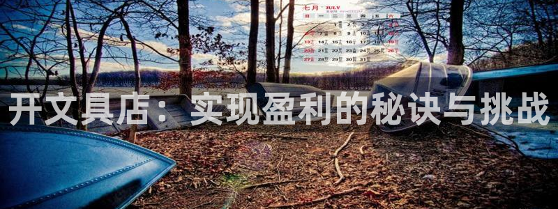 卧龙娱乐app彩票中奖：开文具店：实现盈