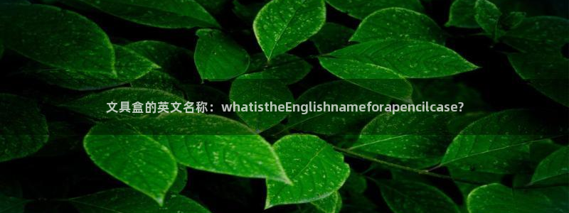 卧龙娱乐挂机软件：文具盒的英文名称：wh