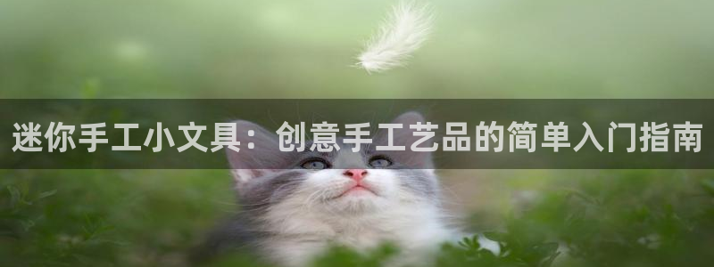 太和卧龙娱乐会所地址：迷你手工小文具：创