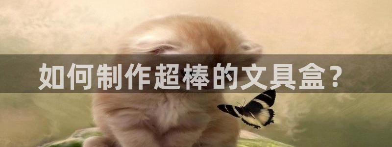绥阳卧龙湖娱乐场地：如何制作超棒的文具盒