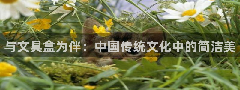 卧龙娱乐地：与文具盒为伴：中国传统文化中