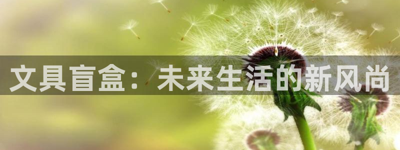 卧龙娱乐后：文具盲盒：未来生活的新风尚