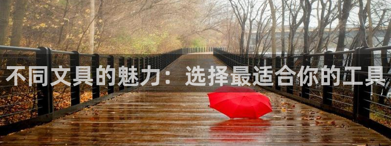 卧龙娱乐可靠吗：不同文具的魅力：选择最适