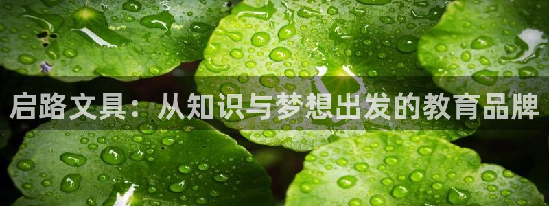 卧龙凤雏娱乐湘西：启路文具：从知识与梦想