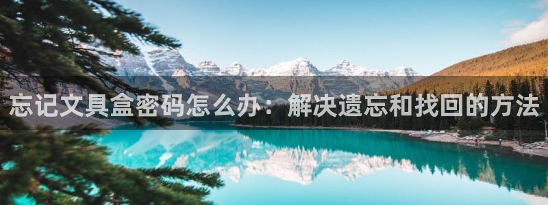 卧龙棋牌娱乐官网：忘记文具盒密码怎么办：