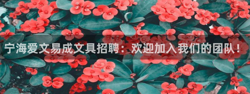 绥阳卧龙湖娱乐：宁海爱文易成文具招聘：欢