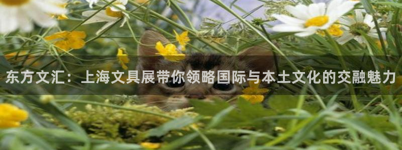 卧龙娱乐是什么意思：东方文汇：上海文具展