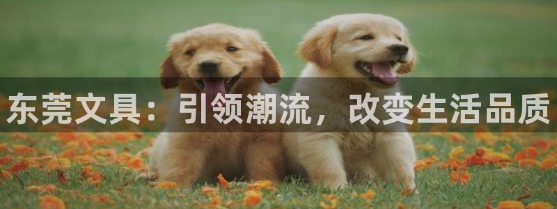 wow卧龙娱乐：东莞文具：引领潮流，改变