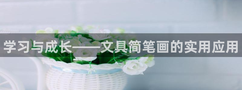 卧龙娱乐彩票官网：学习与成长——文具简笔