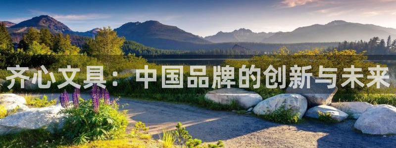 卧龙娱乐app彩票：齐心文具：中国品牌的