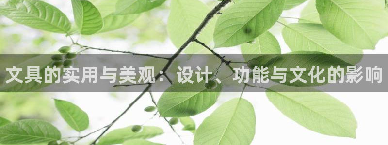 卧龙娱乐挂机平台：文具的实用与美观：设计