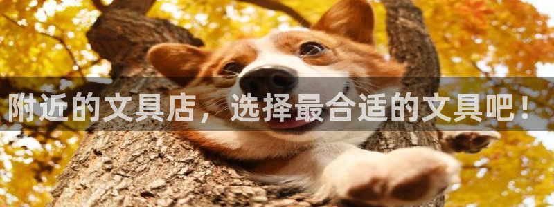 卧龙区夜晚娱乐：附近的文具店，选择最合适