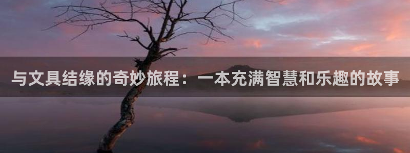 卧龙镇休闲娱乐：与文具结缘的奇妙旅程：一