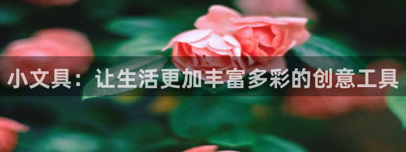 SKY娱乐 卧龙主管60447：小文具：