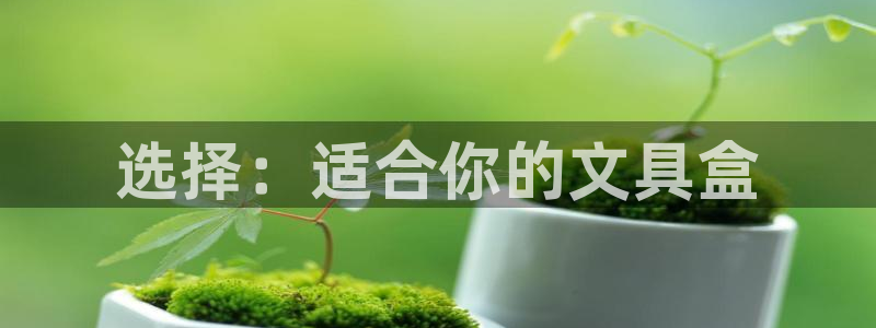 大娱乐家卧龙先生：选择：适合你的文具盒