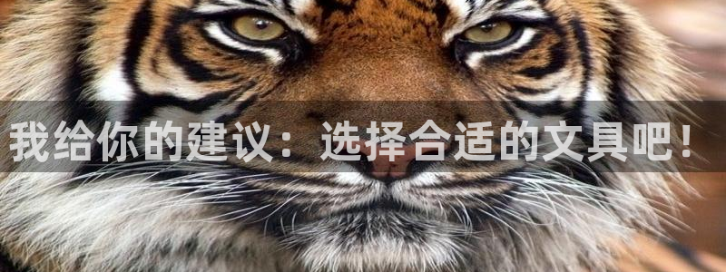 肥羊娱乐卧龙凤雏：我给你的建议：选择合适