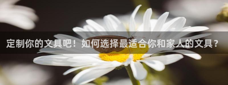 卧龙湾娱乐区：定制你的文具吧！如何选择最