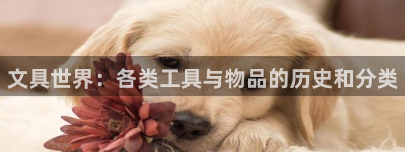 we娱乐 卧龙主管60447：文具世界：