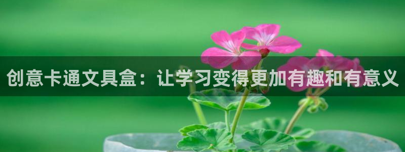 卧龙凤雏娱乐资讯：创意卡通文具盒：让学习
