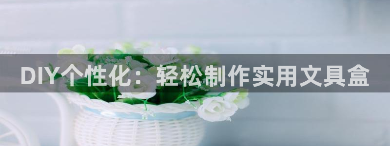 卧龙娱乐场所：DIY个性化：轻松制作实用