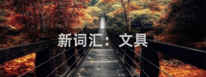 卧龙传统娱乐团购：新词汇：文具
