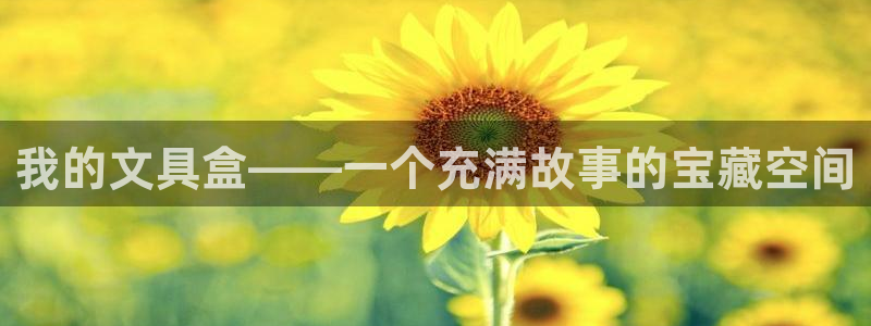 卧龙娱乐APP：我的文具盒——一个充满故