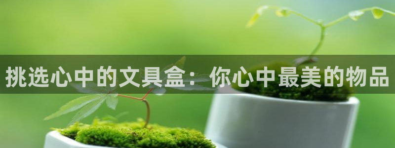 卧龙娱乐平台登录入口：挑选心中的文具盒：